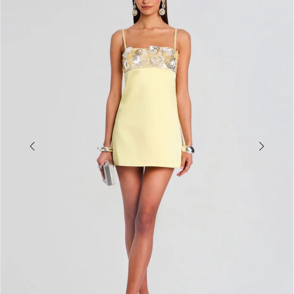 Retrofête Lark Embroidered Dress - Picture 3 of 4